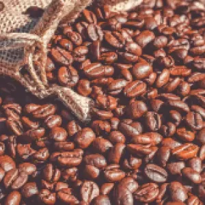 Colombia apunta a incrementar su producción de café en los próximos cuatro años a 16 millones de sacos